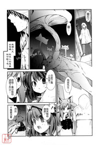 第155頁圖