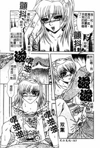 第163頁圖