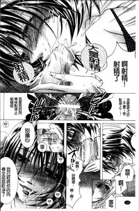 第115頁圖