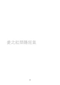 第31頁圖