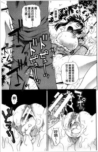 第211頁圖