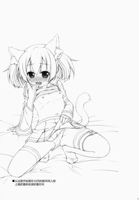 第19页图