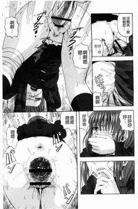 第175頁圖