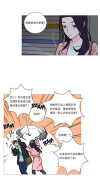 第331頁圖