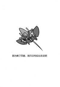 第19页图