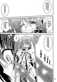 第19页图