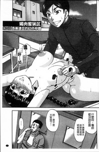 第75頁圖