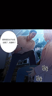 第211頁圖