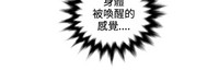 第231页图