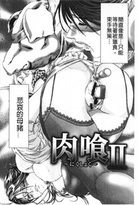 第143頁圖