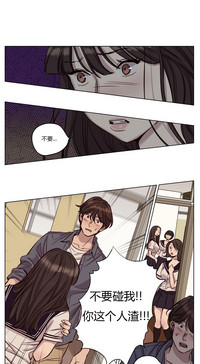 第251頁圖