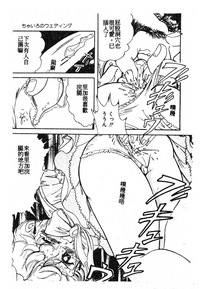 第163頁圖