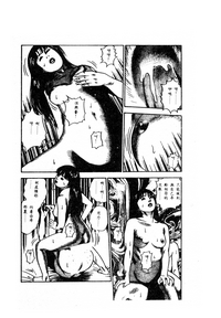 第219頁圖