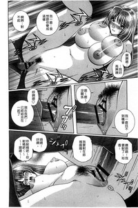 第19頁圖