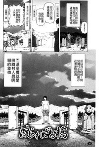 第31頁圖