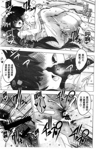 第211頁圖