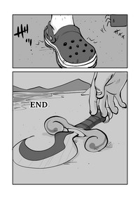 第211頁圖