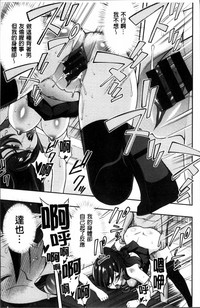 第151頁圖