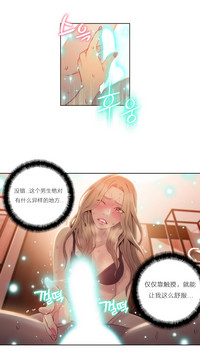 第431頁圖