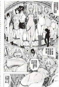 第211頁圖