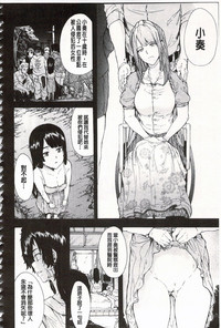 第215頁圖