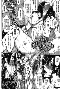 第31頁圖
