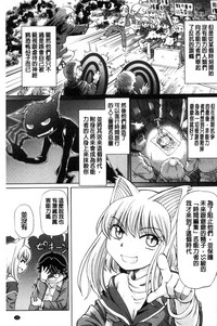 第31頁圖