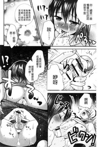 第175頁圖