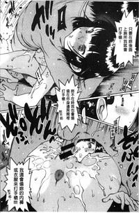 第151頁圖