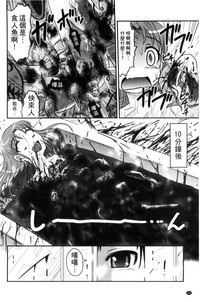 第215頁圖