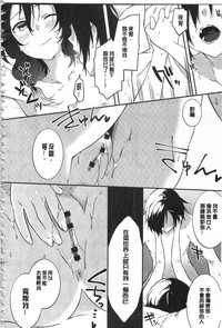 第143頁圖