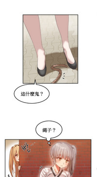 第303頁圖