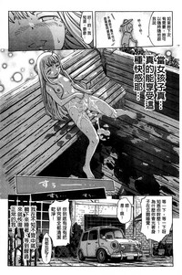 第87頁圖