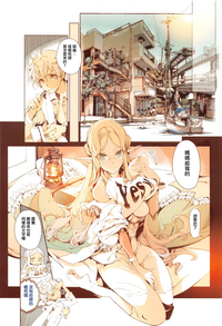 第211頁圖