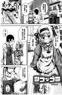 第219頁圖