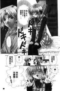 第31頁圖