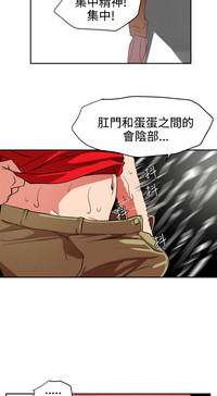 第411頁圖