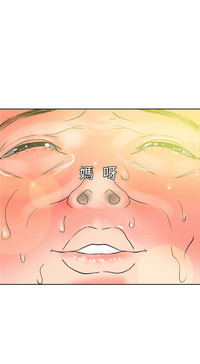 第419頁圖