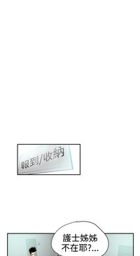 第515頁圖