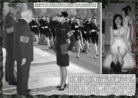 第151頁圖