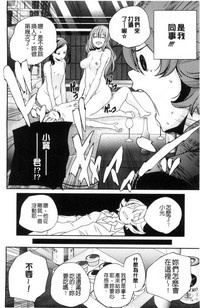 第223頁圖