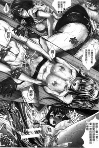 第223頁圖