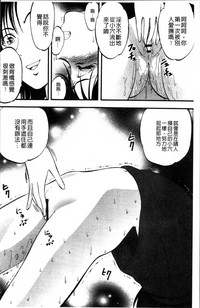第147頁圖