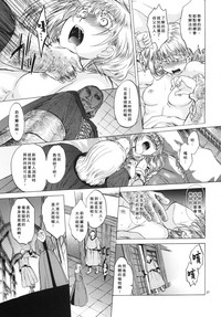 第27頁圖