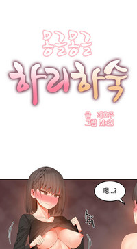第507頁圖
