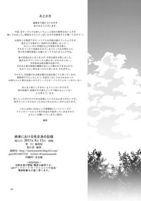 第27頁圖