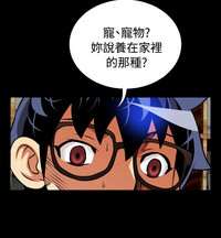 第379頁圖