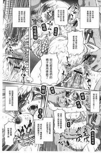 第139頁圖
