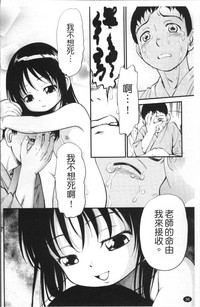 第43頁圖