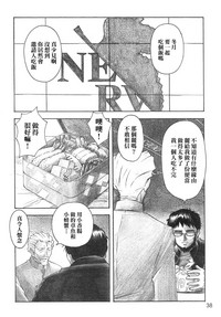 第35頁圖